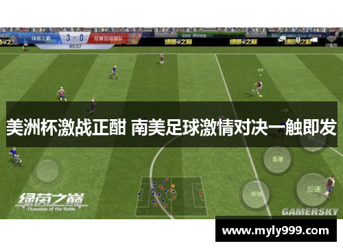 美洲杯激战正酣 南美足球激情对决一触即发