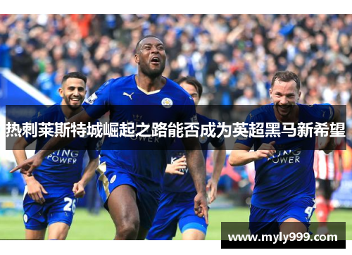 热刺莱斯特城崛起之路能否成为英超黑马新希望