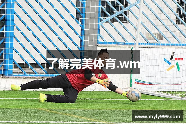 了解完美体育.wm